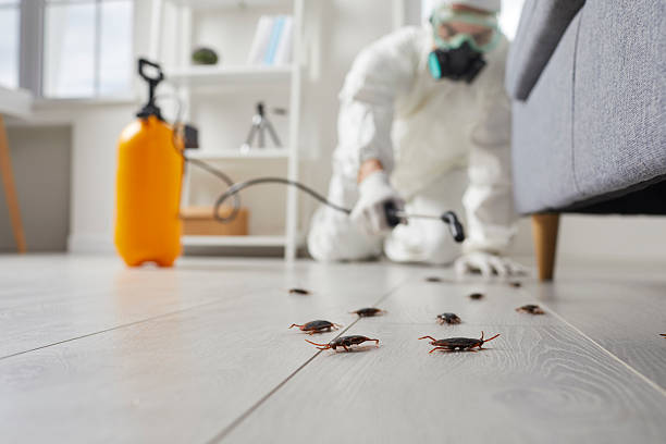 Post-Treatment Bed Bug Interceptor Monitoring in Grayson