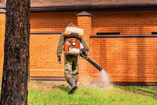 Bed Bug Clearance Verification and Documentation in Grayson